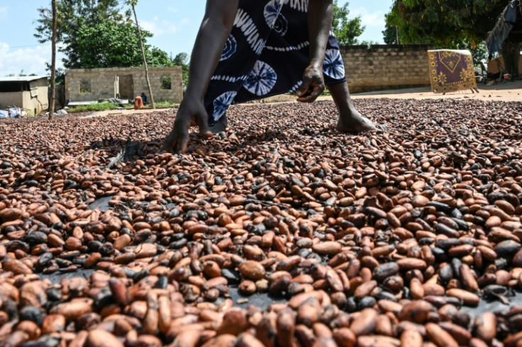 Dua produsen kakao terbesar telah menetapkan tuntutan bagi produsen untuk membayar harga yang lebih tinggi untuk petani mereka