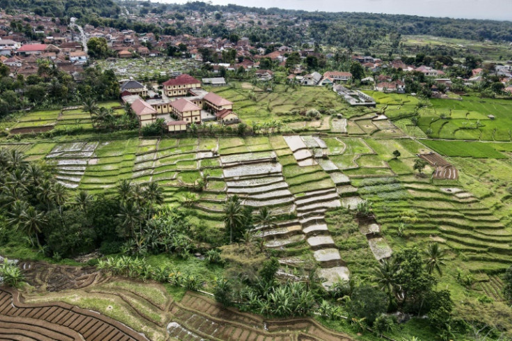 Di Kampung Cigugur, sekitar 200 kilometer dari Jakarta, umat Sunda Wiwitan menggelar festival panen yang dilarang hingga 1998.